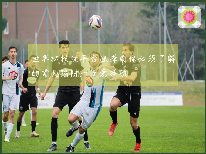 世界杯投注平台选择前你必须了解的常见陷阱和注意事项